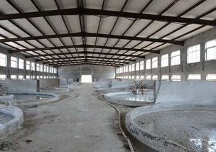 學(xué)洋明膠蛋白廠浸泡車間 皮革制品處理的工業(yè)現(xiàn)場剖析